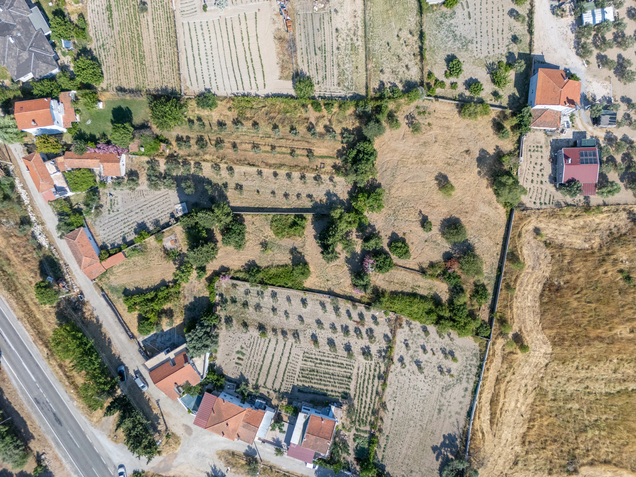 Urla Uzunkuyu’da Eski Çeşme Yolu Üzerinde Satılık Çiftlik Evi ve Arazi galeri 2
