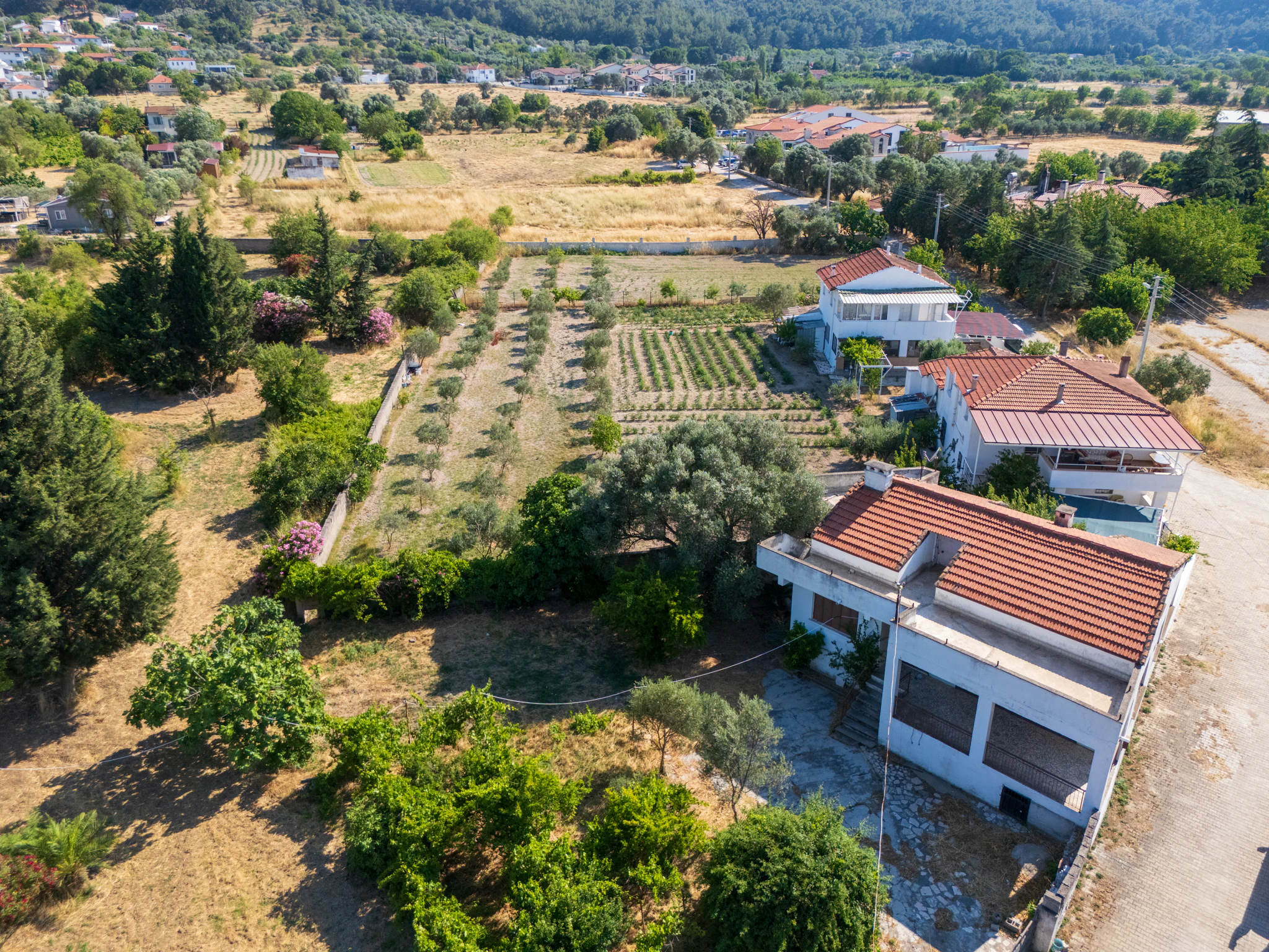 Urla Uzunkuyu’da Eski Çeşme Yolu Üzerinde Satılık Çiftlik Evi ve Arazi galeri 4
