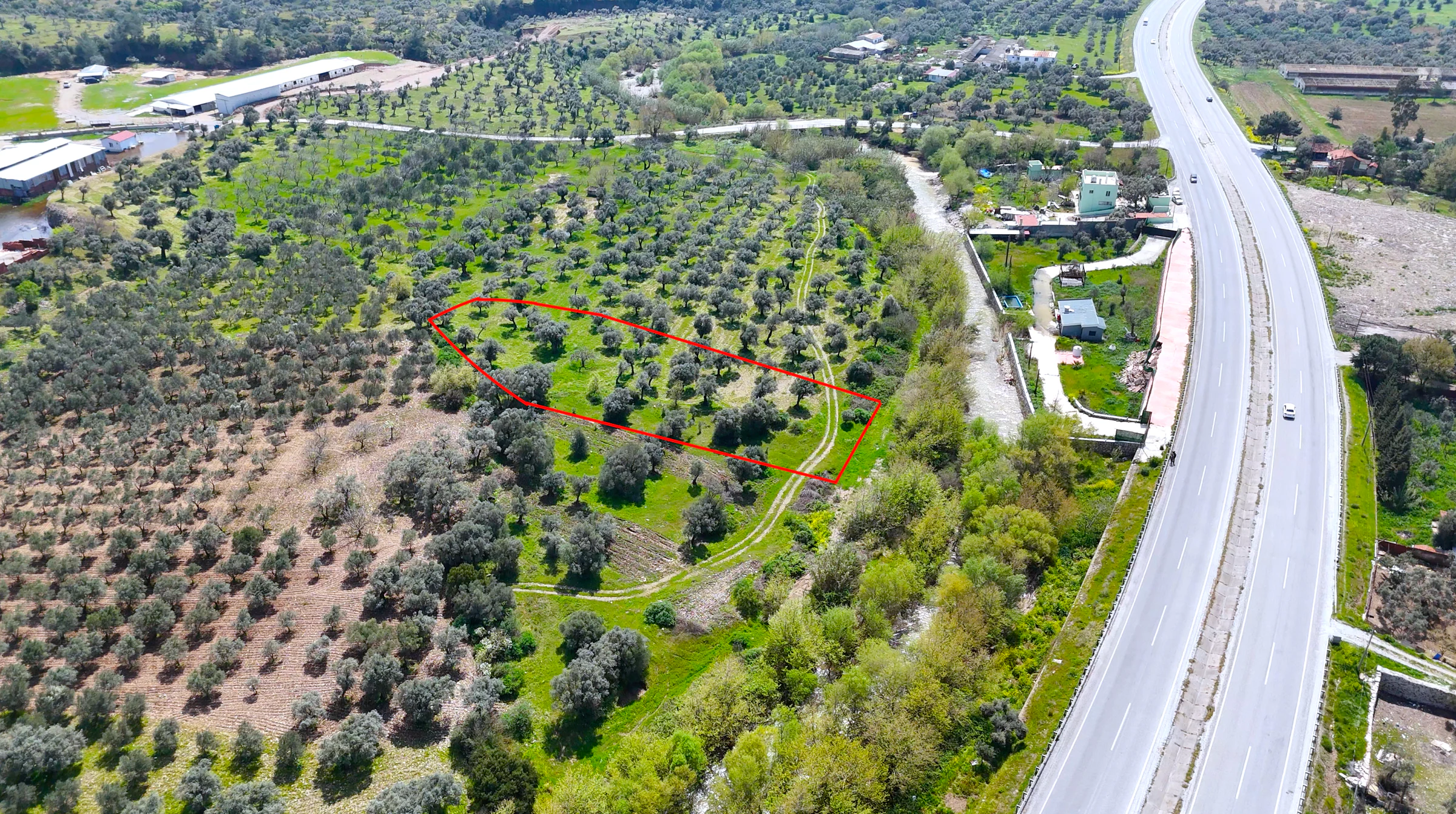 KAĞAN KACIR'DAN TORBALI PHILSA CADDESİ ÜZERİ SATILIK ZEYTİNLİK..