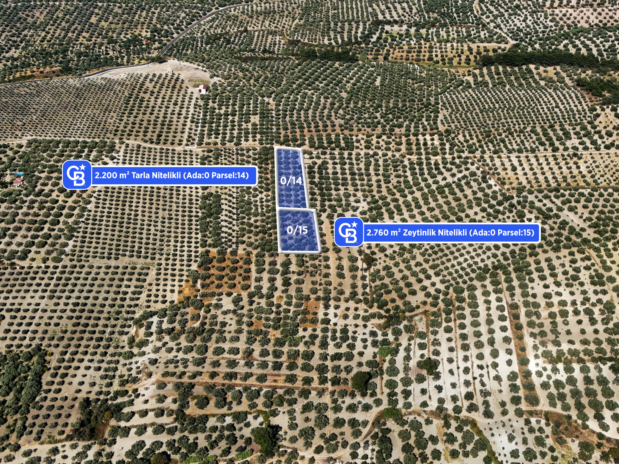 Manisa Akhisar B.Osmaniye'de 2 Parsel 4960 m² Fırsat Zeytinlik
