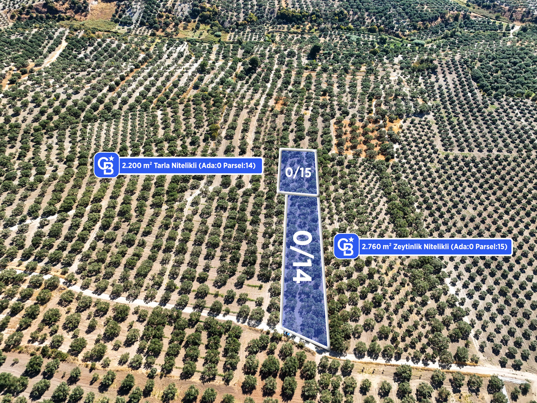 Manisa Akhisar B.Osmaniye'de 2 Parsel 4960 m² Fırsat Zeytinlik galeri 2