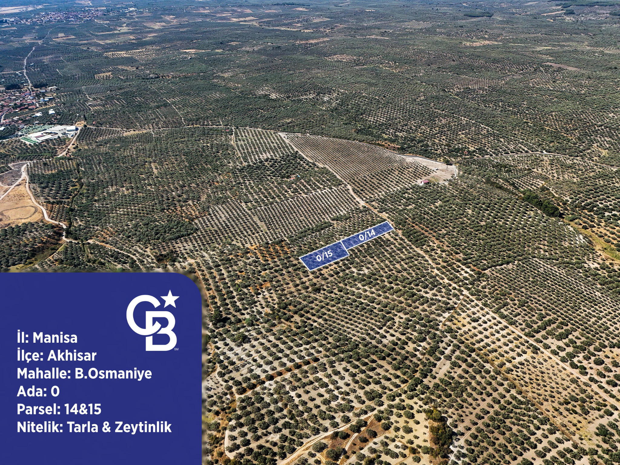 Manisa Akhisar B.Osmaniye'de 2 Parsel 4960 m² Fırsat Zeytinlik galeri 3