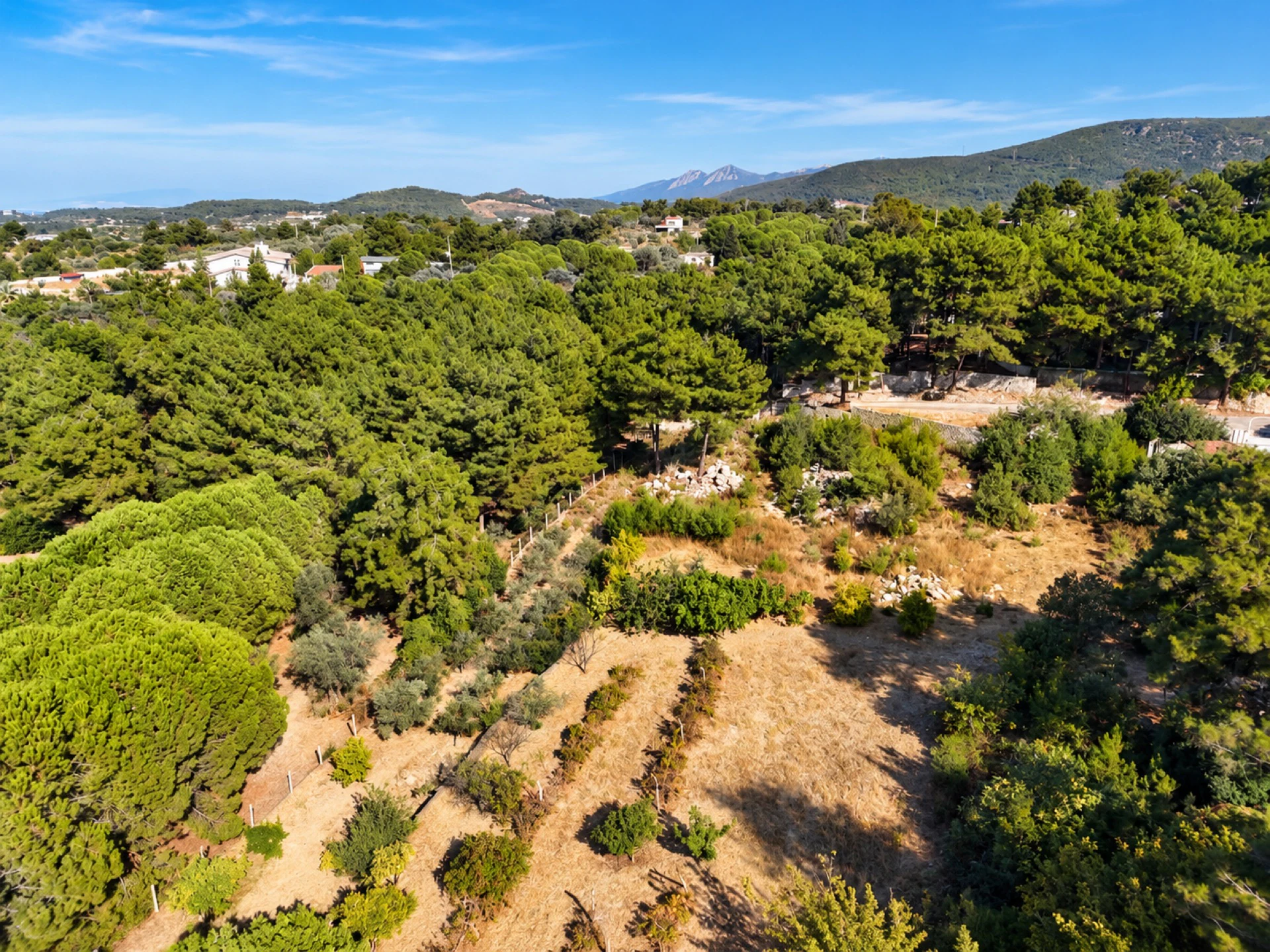 Kekliktepe'de 8.533 m2 Deniz Manzaralı Malikâne Arsası galeri 3